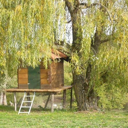 Les Convertigues Montjoire Exteriér fotografie
