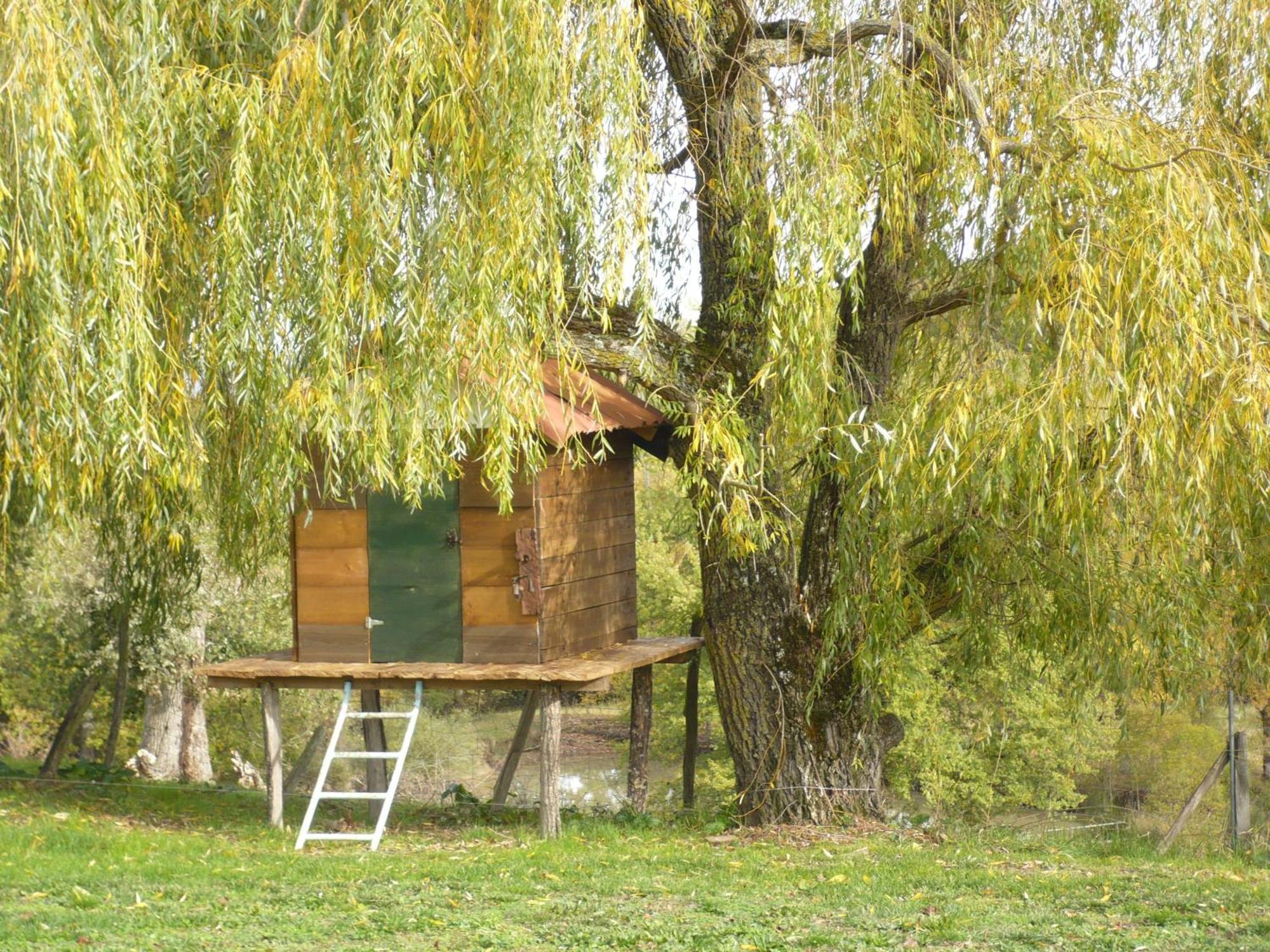 Les Convertigues Montjoire Exteriér fotografie
